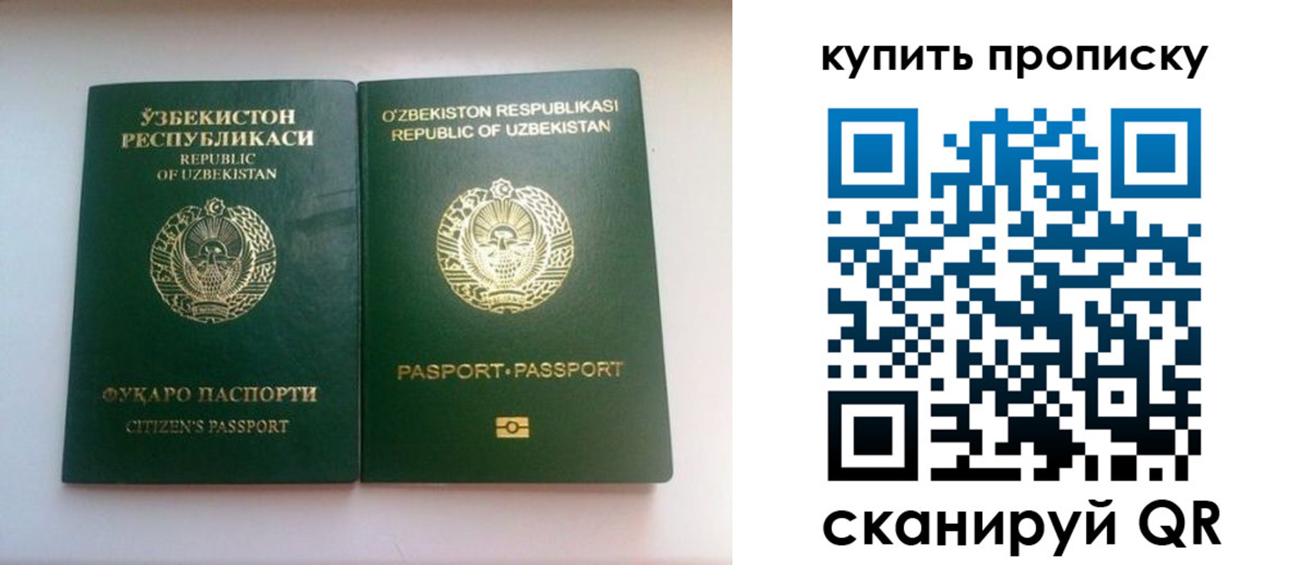 прописка в квартире в Лосино-Петровском